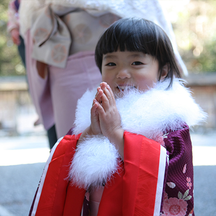 七五三詣のサムネイル